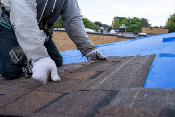 Professional Roofing Contractor in Springville, AL