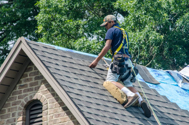 Best Gutter Installation and Roofing  in Springville, AL